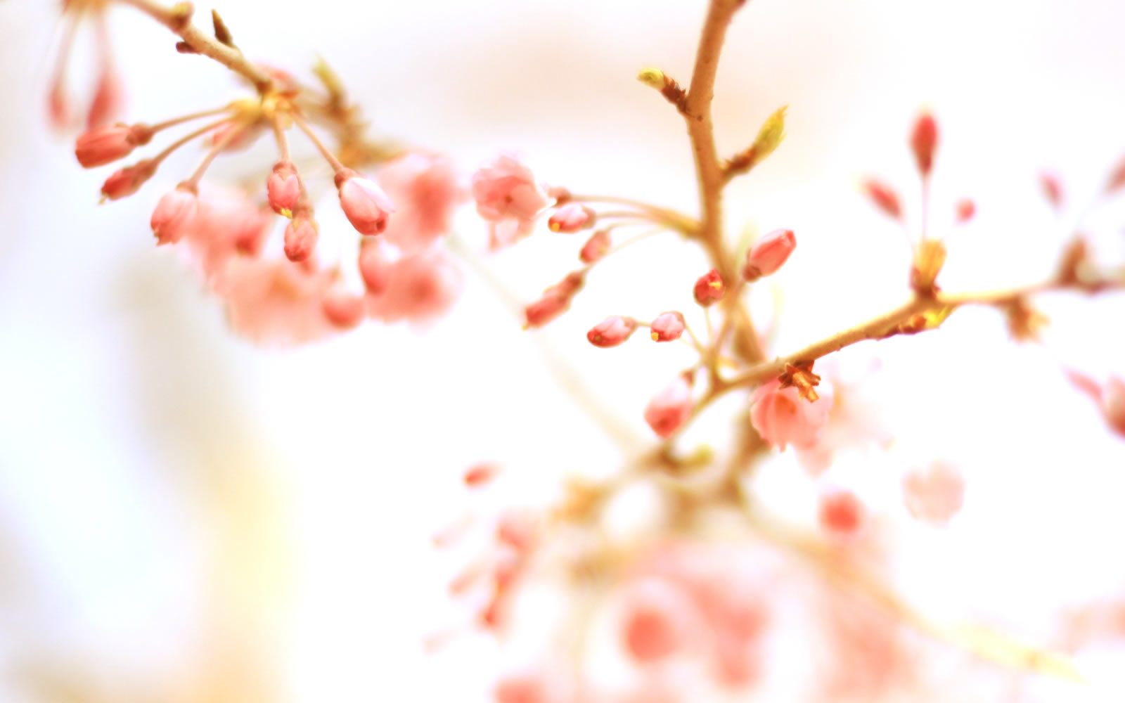 標準的なWebサイトに必要な基本機能を全て装備